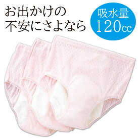 婦人安心さわやかパンツ120 同色3枚組 吸水量120cc 中失禁 4層構造 サラサラ ニオイ ムレにくい ピーチ ベージュ 外出 安心 日本製