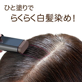 幅広スティックヘアカラーMAX 白髪染め ダークブラウン 雨汗に強い ボリュームケア 自然な仕上がり サラサラ ふんわり ひと塗り ヘマチン Wケラチン 利尻昆布 椿油 シルク 日本製