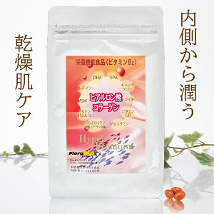 �q�A�������_�R���[�Q�� Hyper Premium ���� DHA EPA ���e�C�� �r�^�~�� ���C�` �R���h���C�`�� 2�^�R���[�Q�� �T�v�������g