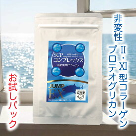 ＼ポイント16倍／【お試し】ジャンプEX 30粒 お1人様1回限り SCPコンプレックス 非変性プロテオグリカン 非変性II・XI型コラーゲン EPA カツオエキス ハープシールオイル スクワレン 次世代型 サプリメント
