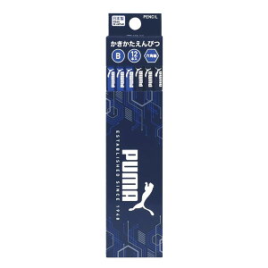 PUMA v[} MiBj _[X Zp PM446 Nc 2025Np j̎q  [ ҂