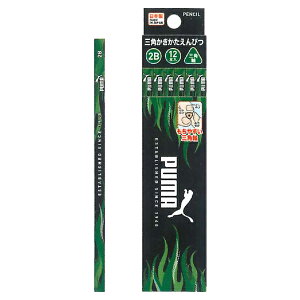 PUMA v[} OpMi2Bj _[X Op PM553 Nc 2025N9@j̎q  [ ҂ [re]