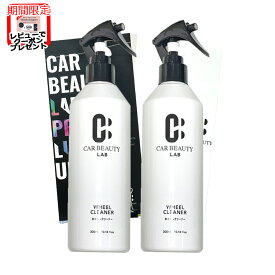 【CAR BEAUTY LAB】車のホイールクリーナー 300mL×2本 ホイールのブレーキダスト、エンジンルームの汚れを落とし、美しさを保ちます。洗車用品 洗車グッズ カービューティラボ (カービューティーラボ)ホイル 洗車 洗車グッズ 洗剤 CB111