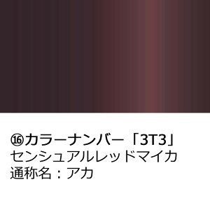 |Cgő47{ hA~[Jo[yg^ C-HR z(ȑ)J[Iт EE͂DIYŌɃ`W TAL20