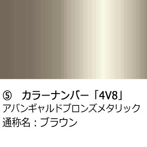 hA~[Jo[Eyg^ VG^ 170nzE(^]ȑ)J[Iт EE͂DIYŌɃ`W TSR170
