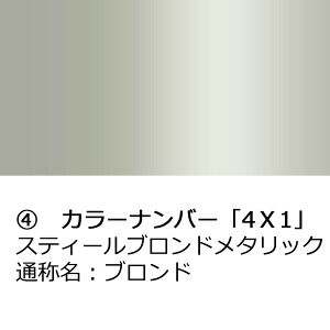 hA~[Jo[Eyg^ Ft@CA 30npzE(^]ȑ)J[Iт EE͂DIYŌɃ`W TAVR0