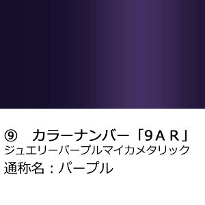 hA~[Jo[Eyg^ ANA NHP10 pzE(^]ȑ)J[Iт EE͂DIYŌɃ`W TAR20