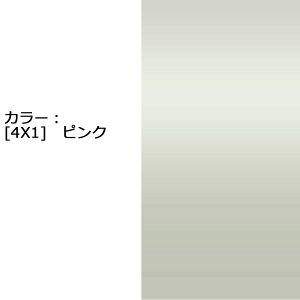 hA~[Jo[yg^ vEX 50O/(ꕔ)z(葤)J[Iт EE͂DIYŌɃ`W TPl000