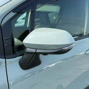 hA~[Jo[yg^ VG^ 10nz(ȑ)J[Iт EE͂DIYŌɃ`W TASL0-