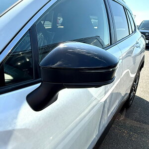 |Cgő47{ hA~[Jo[yg^ J[NX 10npz(ȑ) J[Iт EE͂DIYŌɃ`W TCCL0