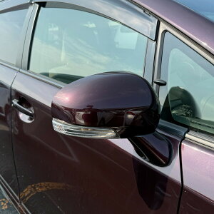 �h�A�~���[�J�o�[�E�y�g���^ �E�B�b�V�� 20�n ����z�E��(�^�]�ȑ�)�J���[�����I�т������� ���E����E�͂�������DIY�Ō����Ƀ`�������W TPR3-