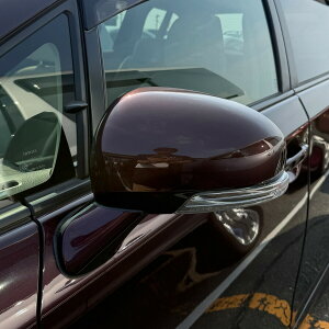 �|�C���g�ő�47�{ �h�A�~���[�J�o�[���y�g���^ �E�B�b�V�� 20�n ����z����(����ȑ�)�J���[�����I�т������� ���E����E�͂�������DIY�Ō����Ƀ`�������W TPL3-