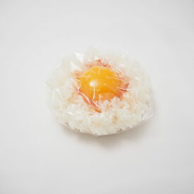 未使用 卵かけご飯 TKG 食品サンプル 皿盛り用 直径10.5 高さ3.5 実物大 展示 ディスプレイ HO179 【中古】