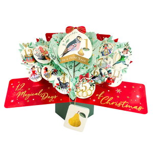 |bvAbvJ[h sA[c[ NX}XySecond Naturez#XPOP071