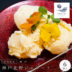 神戸北野ジェラート アイスクリーム シャーベット ジェラート 神戸スイーツ 選べる25種類 6個セット 送料無料 ギフト 詰め合わせ 甘さ控えめ プレゼント