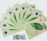 ヘナ 白髪染め サンプル 天然ハーブ 草木染 白髪染 ( 100gパウチ2個セット ) ネコポス 便送料無料 2セッ…