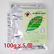 天然ハーブ ミックスハーブ （100gパウチ） ハーブ ミックス トリートメント ヘナファッション バルクパ…