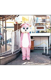 【中古】【CD＋DVD】なくもんか　初回限定盤 / いきものがかり