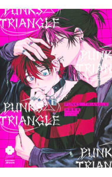 【中古】ＰＵＮＫＳ△ＴＲＩＡＮＧＬＥ / 沖田有帆 ボーイズラブコミック