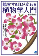 【中古】観察する目が変わる植物学入門 / 矢野興一