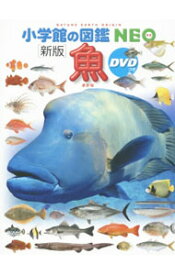 【中古】【全品10倍！1/25限定】魚 / 井田齋
