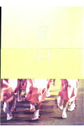【中古】眉山−びざん− / 犬童一心【監督】