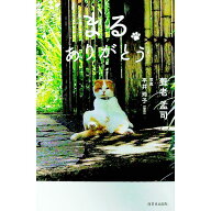 【中古】まるありがとう / 養老孟司 (新書)