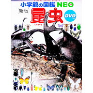【中古】【DVD付】昆虫 / 小池啓一 (単行本)