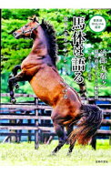 【中古】馬体は語る / 治郎丸敬之