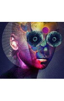 楽天市場】the insulated world 完全生産限定盤 ブルーレイの通販