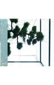 【中古】鏡花水月 / 東風