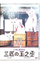 楽天市場】猫弁 死体の身代金 dvdの通販