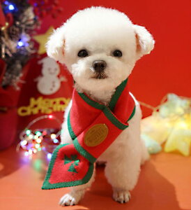 y|Cg5{!z  L NX}X }t[ RXv }t[ NX}XObc 񂿂 ˂ NX}XRXv }t[  ^ g ʐ^ CX^