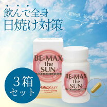 楽天市場】ビー マックス ザ サン aa+の通販