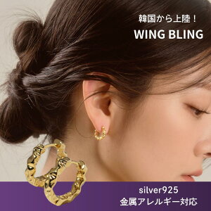 wingbling �s�A�X �؍��A�N�Z�T���[ ���f�B�[�X �E�B���O�u�����O �E�B���u���� �A�N�Z�T���[ 925 14�� twice IU aespa ���K�i �V���o�[925 �����A�����M�[ �I���[�u�����O Olive young �؍��t�@�b�V����