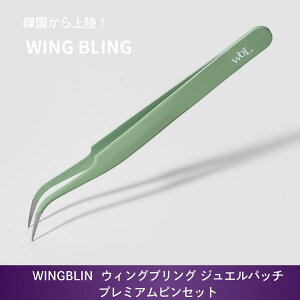 WG[sZbg  WG[ pb` wingbling WGpb` ؍ANZT[ ڃANZT[ fB[X AM[ \邾 ڃZs[ EBOuO EB