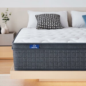 Suilong |PbgRC}bgX Z~_u Ɍ26cm Ɨ|PbgRC  xbh}bgX XvO}bgX d o2.0/2.2mm sz w\ ʋC ̈U Q