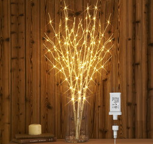 Hairui u` Cg LED } C~l[V c[ CeA ԐڏƖ NX}X 80cm 150d IV k h (ԕr܂܂Ȃ)