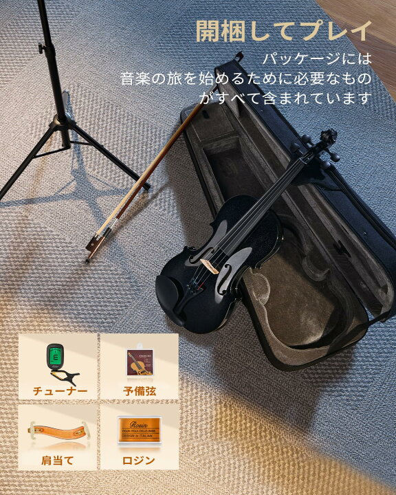 楽天市場】Eastar バイオリン ヴァイオリン 4/4 単板 ソリッド 
