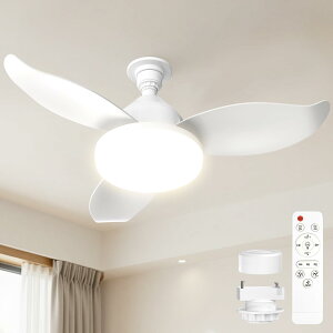SUKITEN �V�[�����O�t�@�����C�g LED �y2026 ���胂�f���E3�d�̃Z�[�t�e�B�\���E�啗�ʁz��63.5cm ���t��] 38W 3500lm �����~�ߍ\���̉H�� DC���[�^�[ �É� ���i�K�������F �ǃX�C�b�`�������[�@�\ 