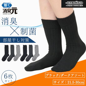 【最大20%OFFクーポン！2/10限定】消臭元 ビジネスソックス クルー丈 6足組 消臭 ビジネス ソックス 21.5-24.0cm 24.5-27.5cm 27.5-30.0cm 制菌 部屋干し対策 小林製薬 KOBA-GUARD 男性 メンズ 父の日 プレゼント ギフト サラリーマン ビジネスマン ニオイケア 部屋干し