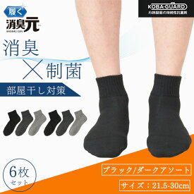 【最大20%OFFクーポン！2/10限定】消臭元 ビジネスソックス アンクル丈 6足組 カジュアル 消臭 ビジネス ソックス 21.5-24.0cm 24.5-27.5cm 27.5-30.0cm 制菌 部屋干し対策 小林製薬 KOBA-GUARD 男性 メンズ 父の日 プレゼント ギフト サラリーマン ビジネスマン ニオイ