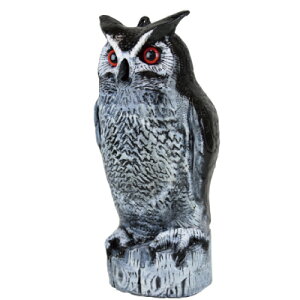 ^CK[ VGj~ ӂ낤 [TTN-F2] (0103010000) Q ΍ 悯 fRC h ǂ }lL ҋ VG