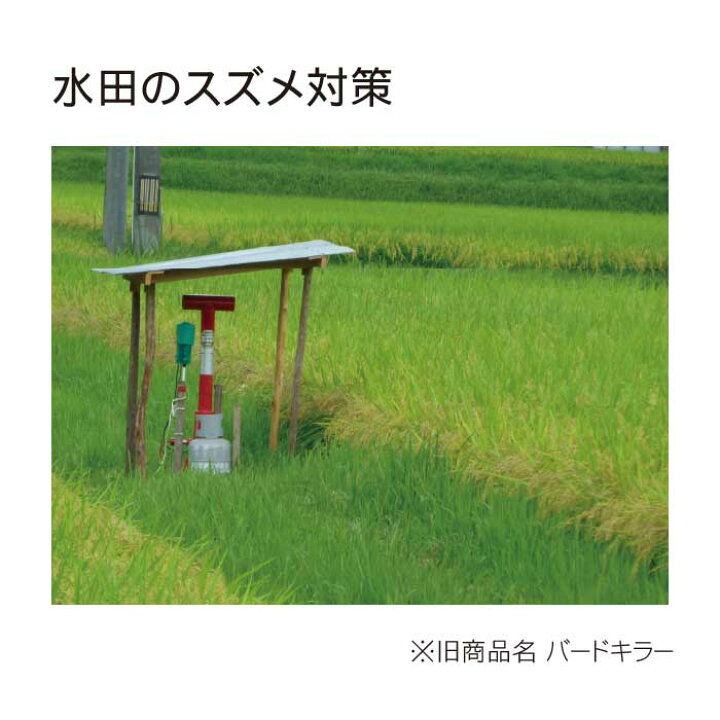 楽天市場】【メンテナンスパック付】 タイガー 爆音機 ジェットバング 