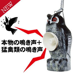 ^CK[ gTb^ [TTN-T5] (0102022200) VGj~ JX Nh XY ΍ II^J ҋ   ߖ ʎ {Y {{ H q