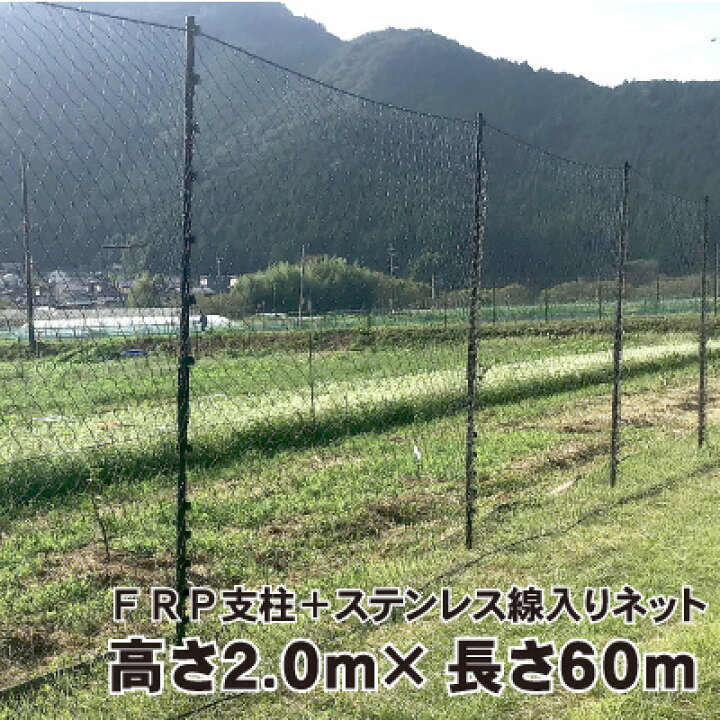 楽天市場】【代引不可】 シカ対策用ネット柵 60mセット 地上高210cm 
