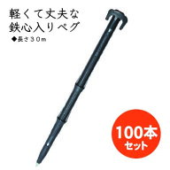 【100本】 タイガー 鉄心ペグ 300 [TBP-T300] ネット ワイヤーメッシュ テント タープ 資材 固定 押さえ…