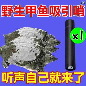zCbX h J Xb| zCbX  t[eBO R[ A[ TEhfoCX Õ ^[g Lb` Ah t@Ch tBbVO AgNg