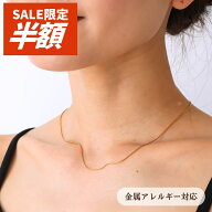 【 ランキング1位 】 【 1000円ポッキリ 】 2000→1000円 マグネット ネックレス チェーン つけっぱなし …