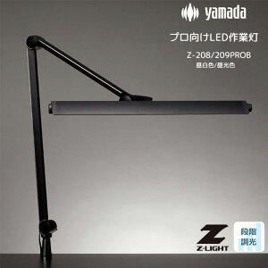 RcƖ fXNCg NvCg Z-LIGHT ZCg LEDCg 7iK  v Ɠ Ɩ ׋ p ׂ X^h Ɩ Cg Kug  Vw 